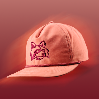#color_salmon
